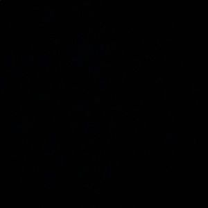 Meet your Posher, Addie